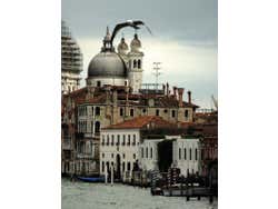 Venecia desde vaporetto