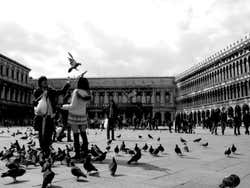 Historia de Venecia, San Marcos